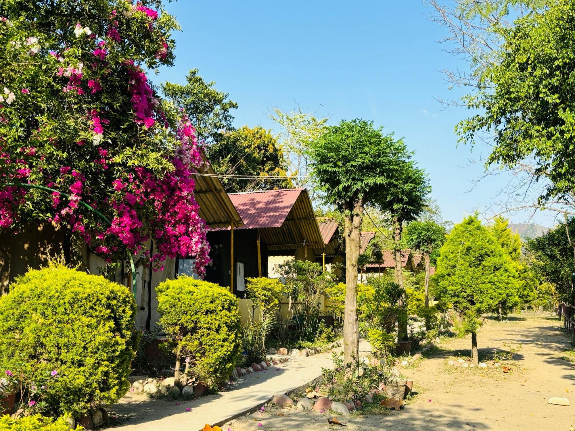 Camp High 5 Jayalgarh Hotel Dāngchura Exterior photo