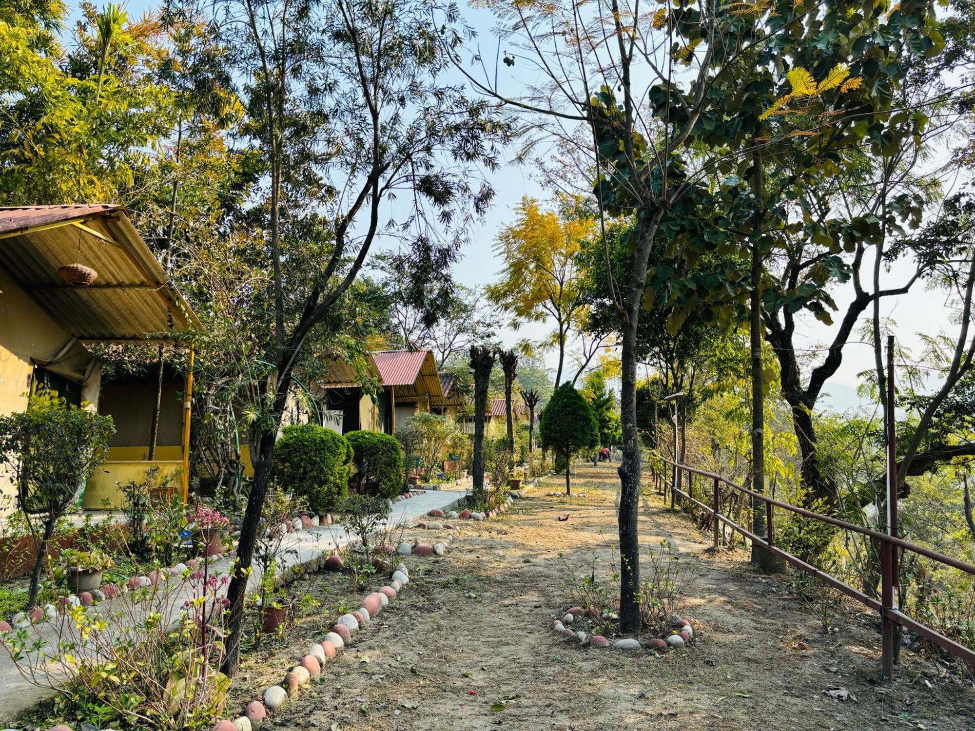 Camp High 5 Jayalgarh Hotel Dāngchura Exterior photo